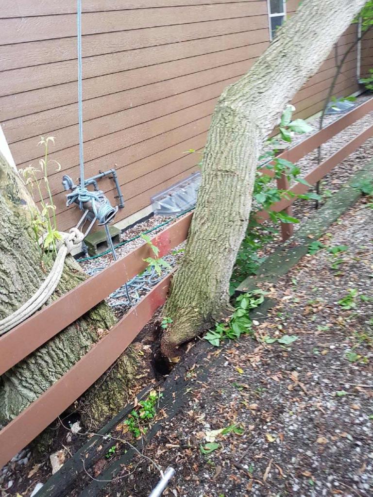 Big Wood Tree & Yard | 3769 Wood Ave, Orillia, ON L3V 6H3, Canada | Phone: (705) 795-4156