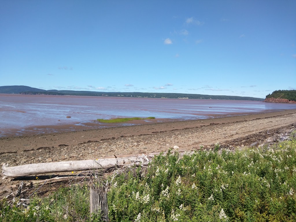 Johnsons Mills Shorebird Interpretive Centre | Johnsons 3K8, Dorchester Cape Rd, Johnsons Mills, NB E4K 3N7, Canada | Phone: (506) 379-6347