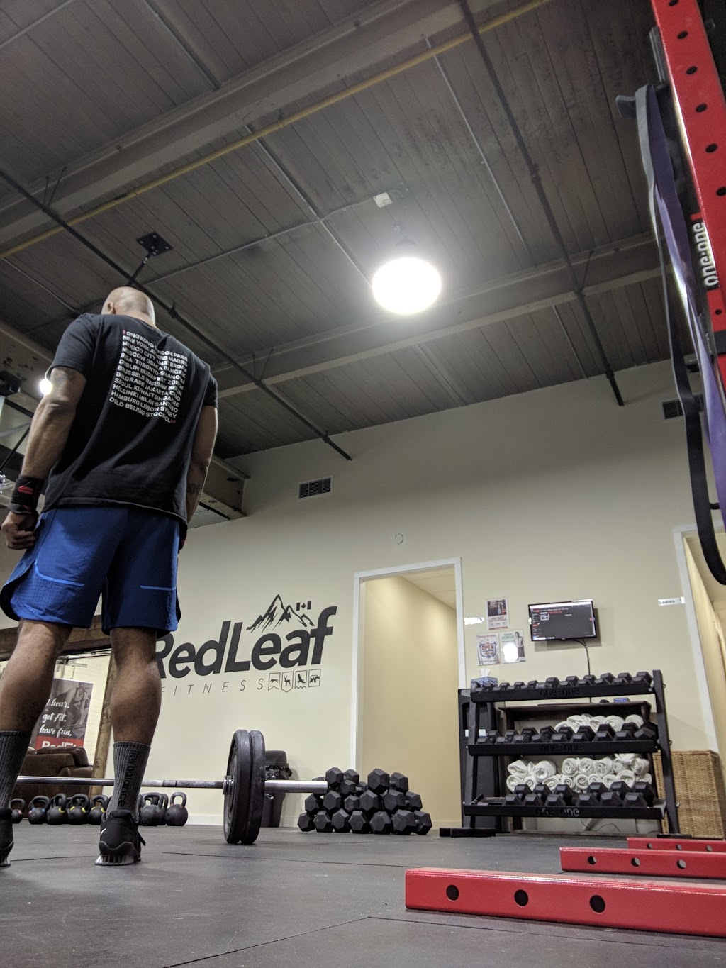 RedLeaf Fitness & CrossFit | 662 Caledonia Rd, York, ON M6E 4V8, Canada | Phone: (416) 256-9453