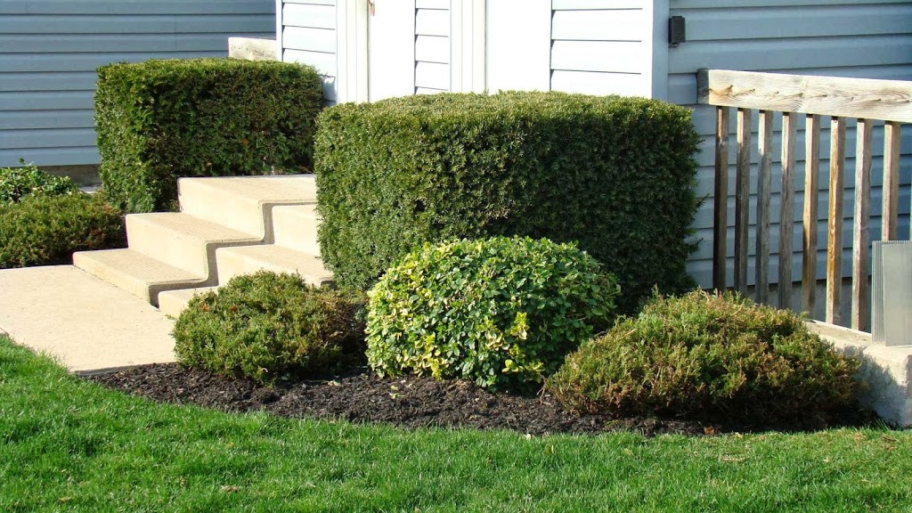 Vandys Lawn & Snow | 57 MacHenry St, Forest, ON N0N 1J0, Canada | Phone: (519) 786-2442