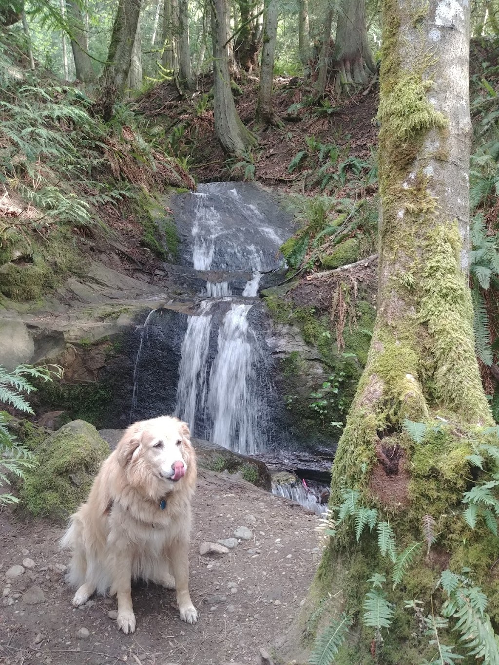 Arroyo Park | 1700 Old Samish Rd, Bellingham, WA 98229, USA | Phone: (360) 778-7000