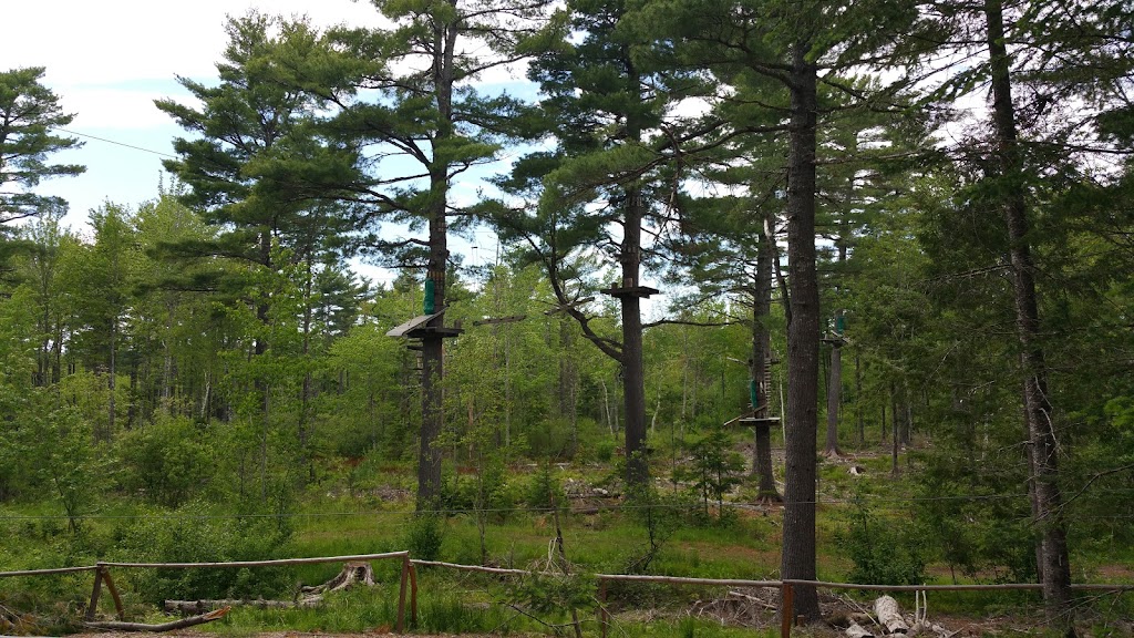 Hants West Wildlife Assn | 596 Bog Rd, Hantsport, NS B0P 1P0, Canada | Phone: (902) 798-3684