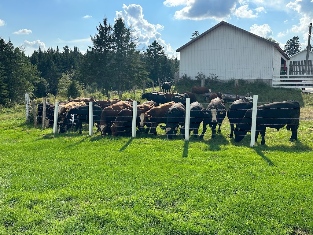 FERME ROGER FORTIER ET FILS | 827 Chem. Gosford, Saint-Pierre-Baptiste, QC G0P 1K0, Canada | Phone: (418) 332-0466