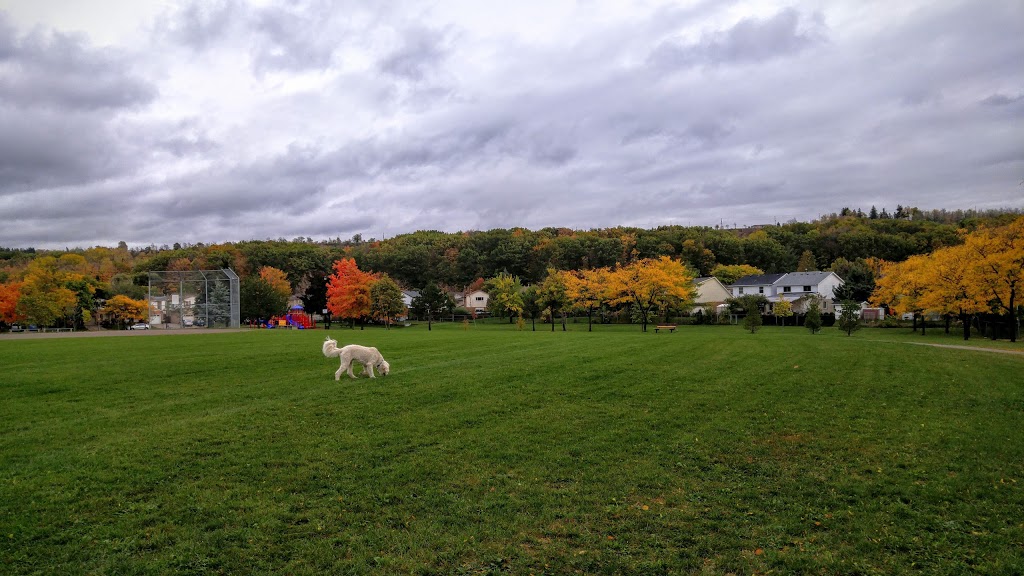 Dewitt Park | 151 Glenashton Drive, Hamilton, ON L8G 4E7, Canada | Phone: (905) 634-2971