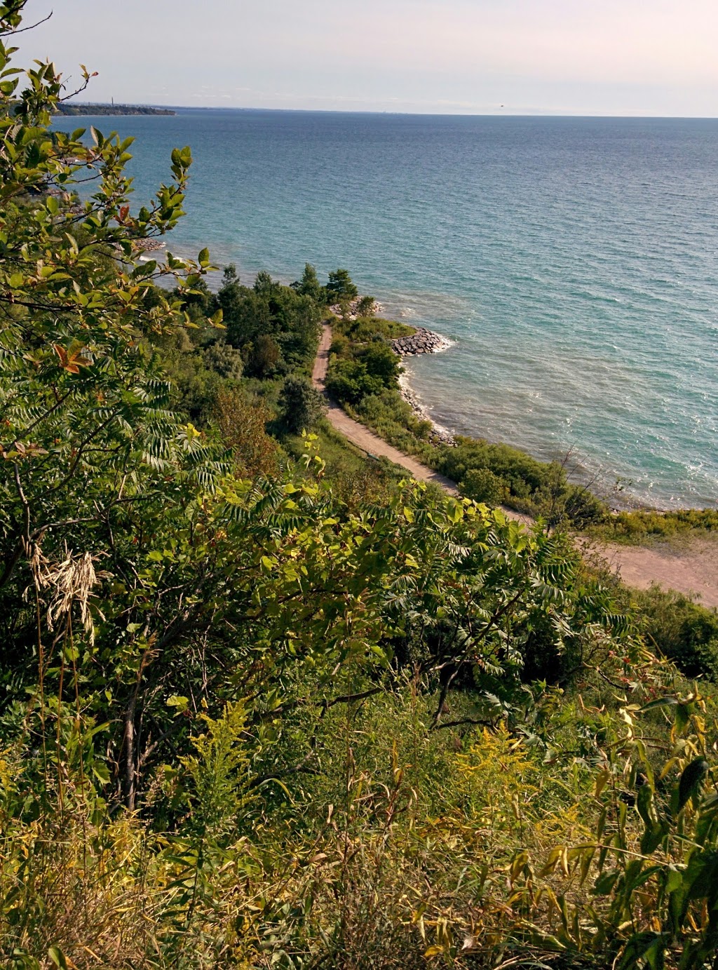 Sylvan Park | 55 Sylvan Ave, Scarborough, ON M1M 1J9, Canada | Phone: (416) 338-4386