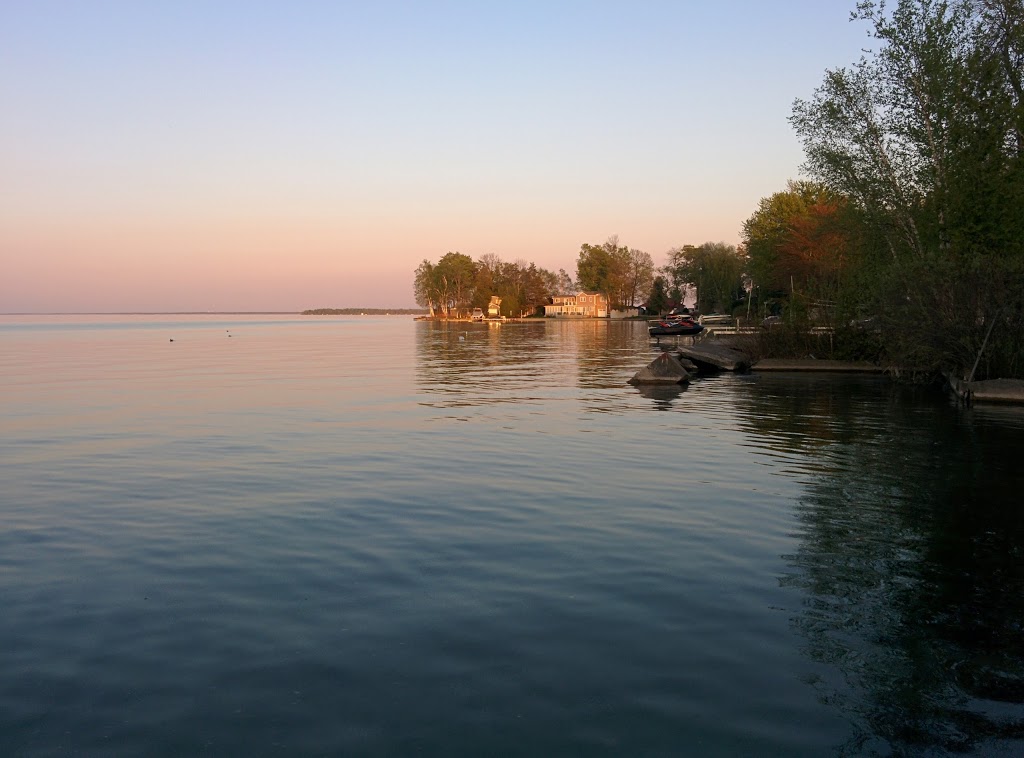 In The Cann Productions Inc. | 644 9 Line, Innisfil, ON L9S 3Y5, Canada | Phone: (416) 998-8630