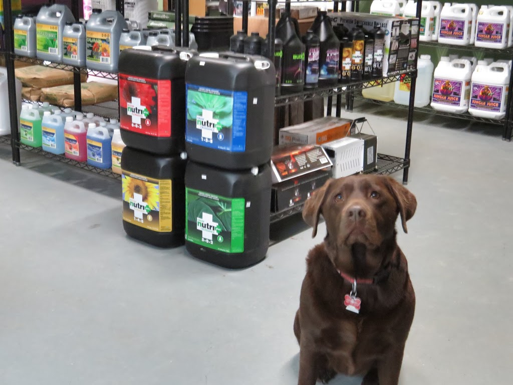 Bobs Grow Mart | 2255 RR 20 unit 3, Welland, ON L3B 5N5, Canada | Phone: (905) 892-2121