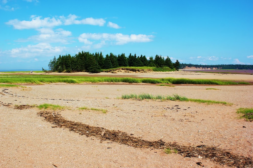 Shepody National Wildlife Area | NB-114, Riverside-Albert, NB E4H 2J9, Canada | Phone: (506) 882-2544