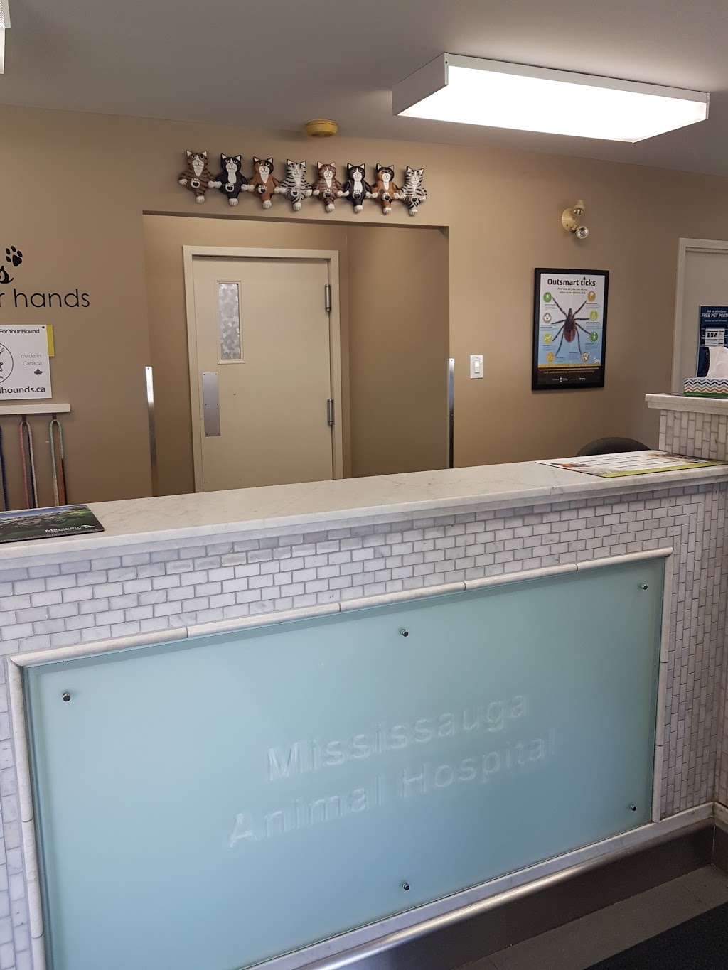 Mississauga Animal Hospital | 365 Dundas St E, Mississauga, ON L5A 1X3, Canada | Phone: (905) 270-4784