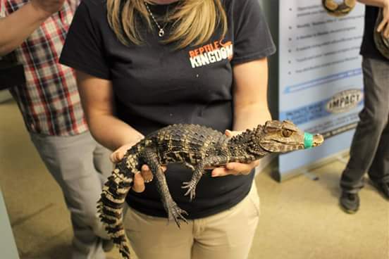 Reptile Kingdom | 1874 hwy 20 E, Fonthill, ON L0S 1E6, Canada | Phone: (905) 892-7100