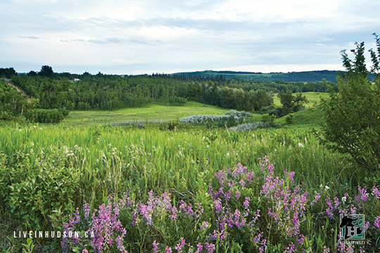 Highfield Land Management | 11410 27 St SE Suite #19, Calgary, AB T2Z 3R6, Canada | Phone: (403) 723-2106