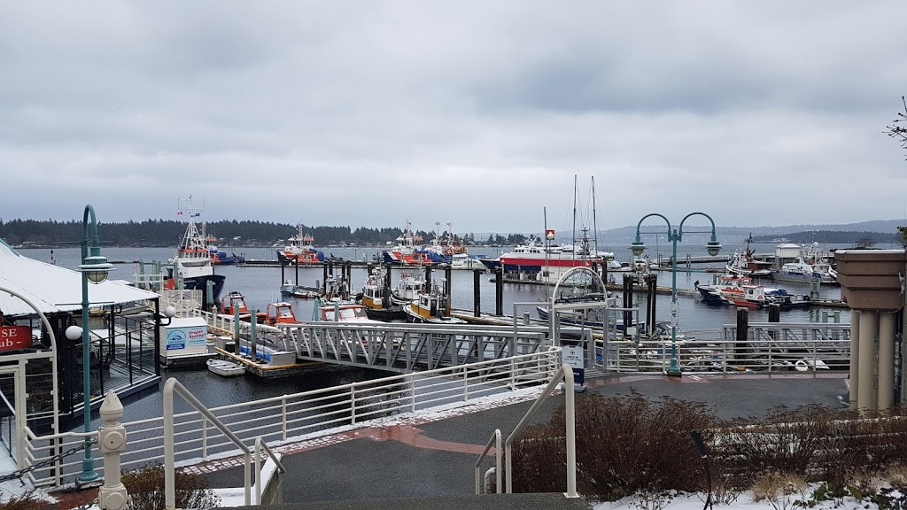 Harbour Air | Nanaimo, BC V9R 5H7, Canada | Phone: (800) 665-0212