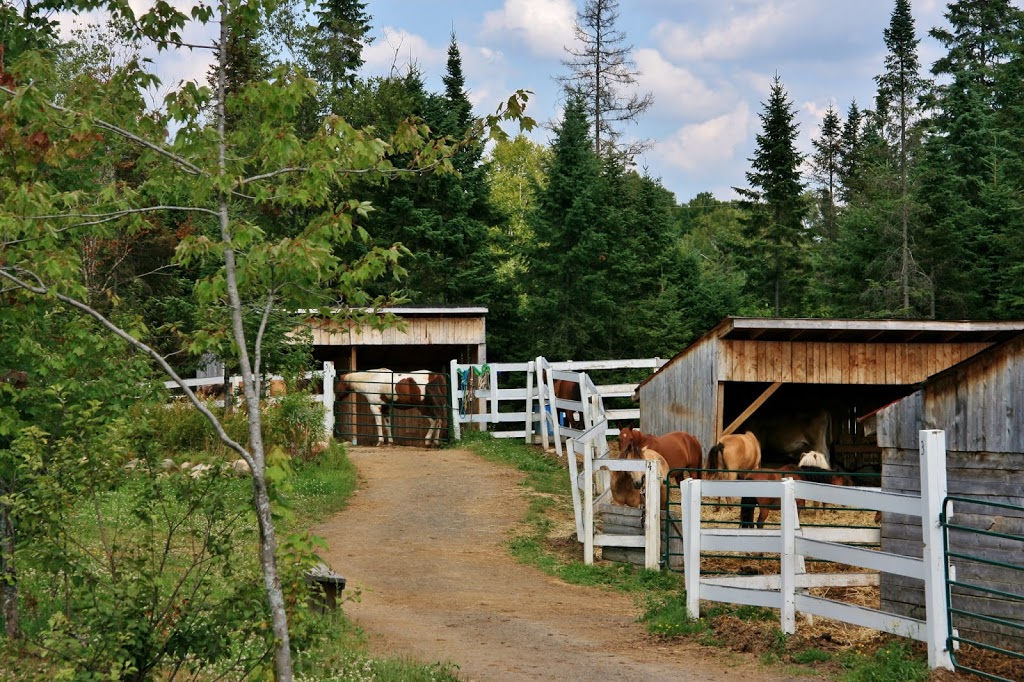 Andre Ladouceur Accordeur | 6250 Loieme Rang, Sainte-Adèle, QC J8B 2P7, Canada | Phone: (819) 321-1329