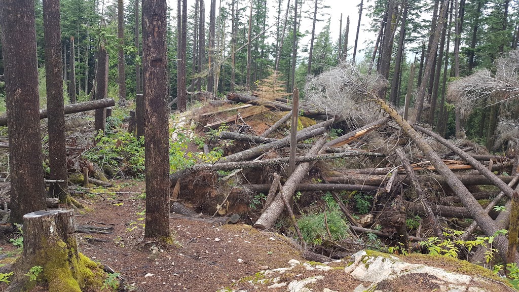 Sumas Mtn Upper Lot | Fraser Valley G, BC V3G 2L3, Canada