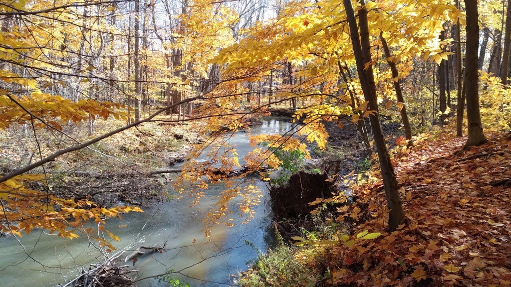 Meadowvale Station Woods North | Meadowvale Village, Mississauga, ON L5W 1Z7, Canada