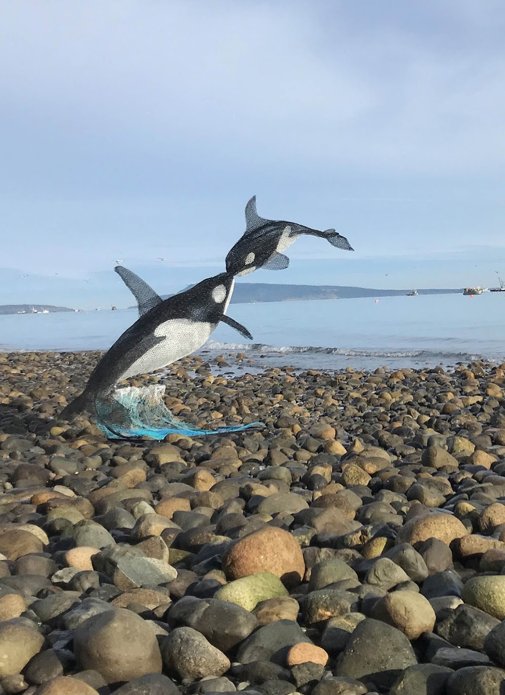 Cathouse Gallery | 5320 Island Hwy W, Qualicum Beach, BC V9K 1Z2, Canada | Phone: (250) 937-9991