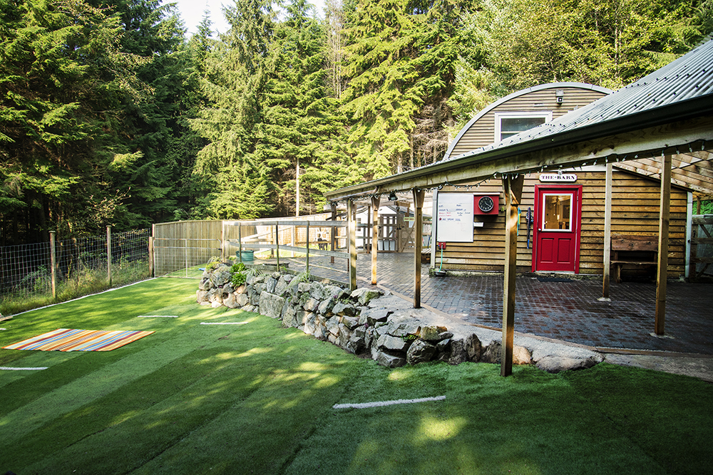 Bowen Island Dog Ranch | 1302 Adams Rd, Bowen Island, BC V0N 1G0, Canada | Phone: (604) 947-6965