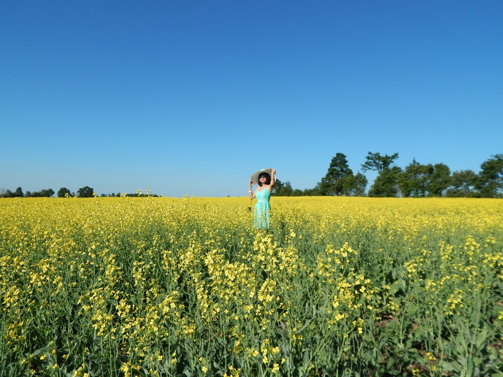 Thousand Winds Farm | 295483 8 Line, Amaranth, ON L9V 1K4, Canada | Phone: (416) 887-4244