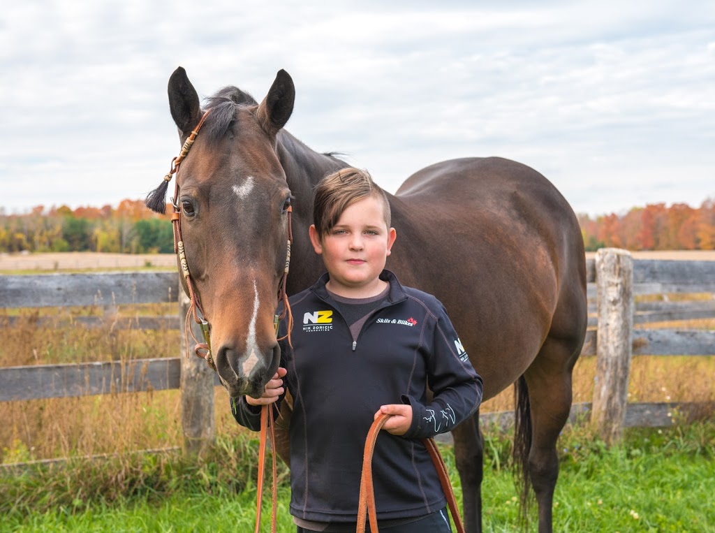 Stonetree Farms of Collingwood | 36, 37 Nottawa Side Rd E #6964, Stayner, ON L0M 1S0, Canada | Phone: (519) 240-1277