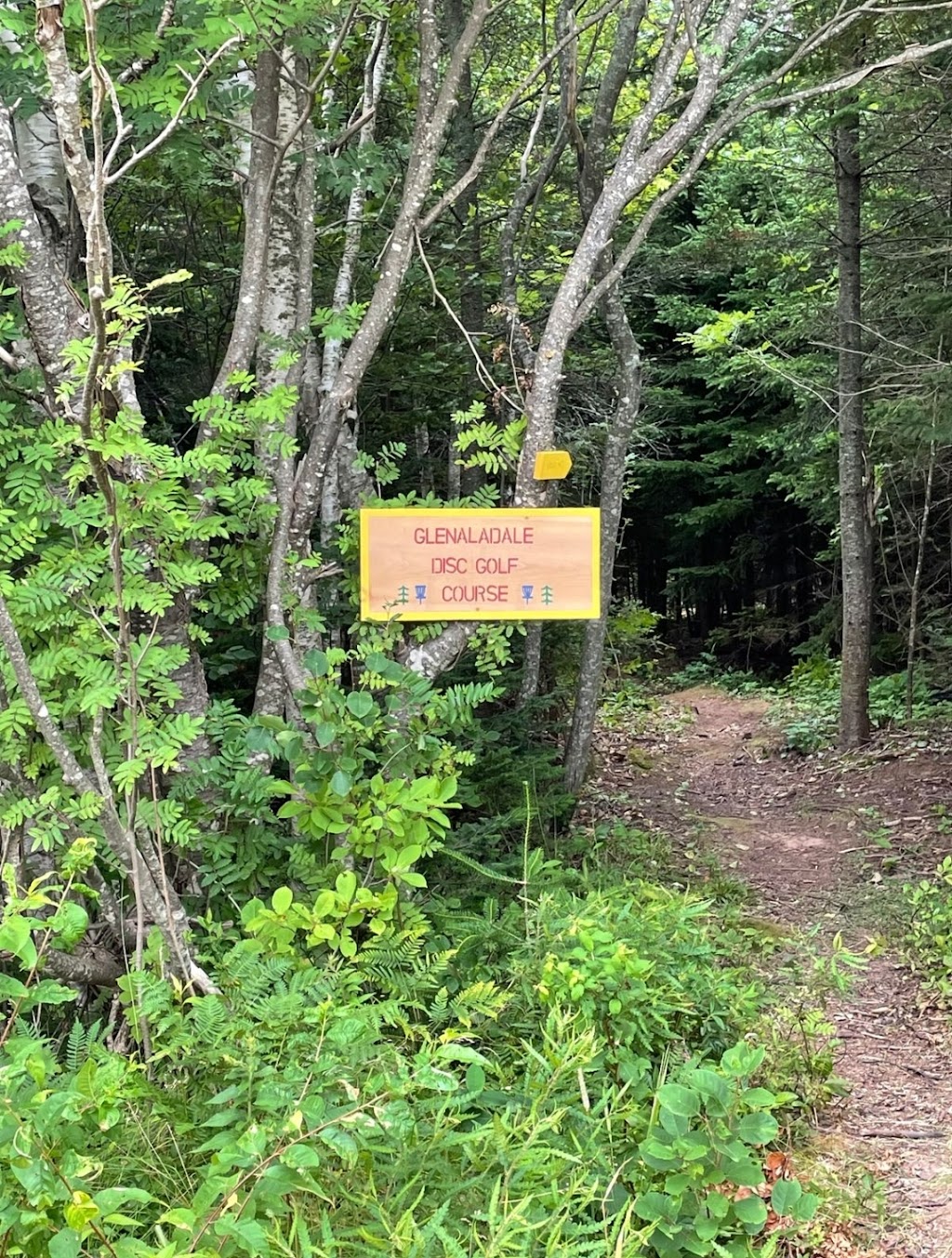 Glenaladale Disc Golf Course | 237 Blooming Point Rd, Mount Stewart, PE C0A 1T0, Canada | Phone: (902) 330-7666