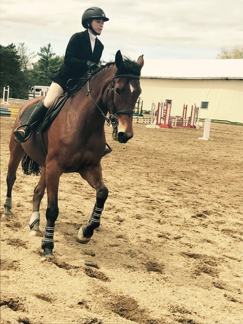 Allardyce Farm/Hemmingford Equestrian Center | 459 Chem. Lavallée, Hemmingford, QC J0L 1H0, Canada | Phone: (514) 238-9787