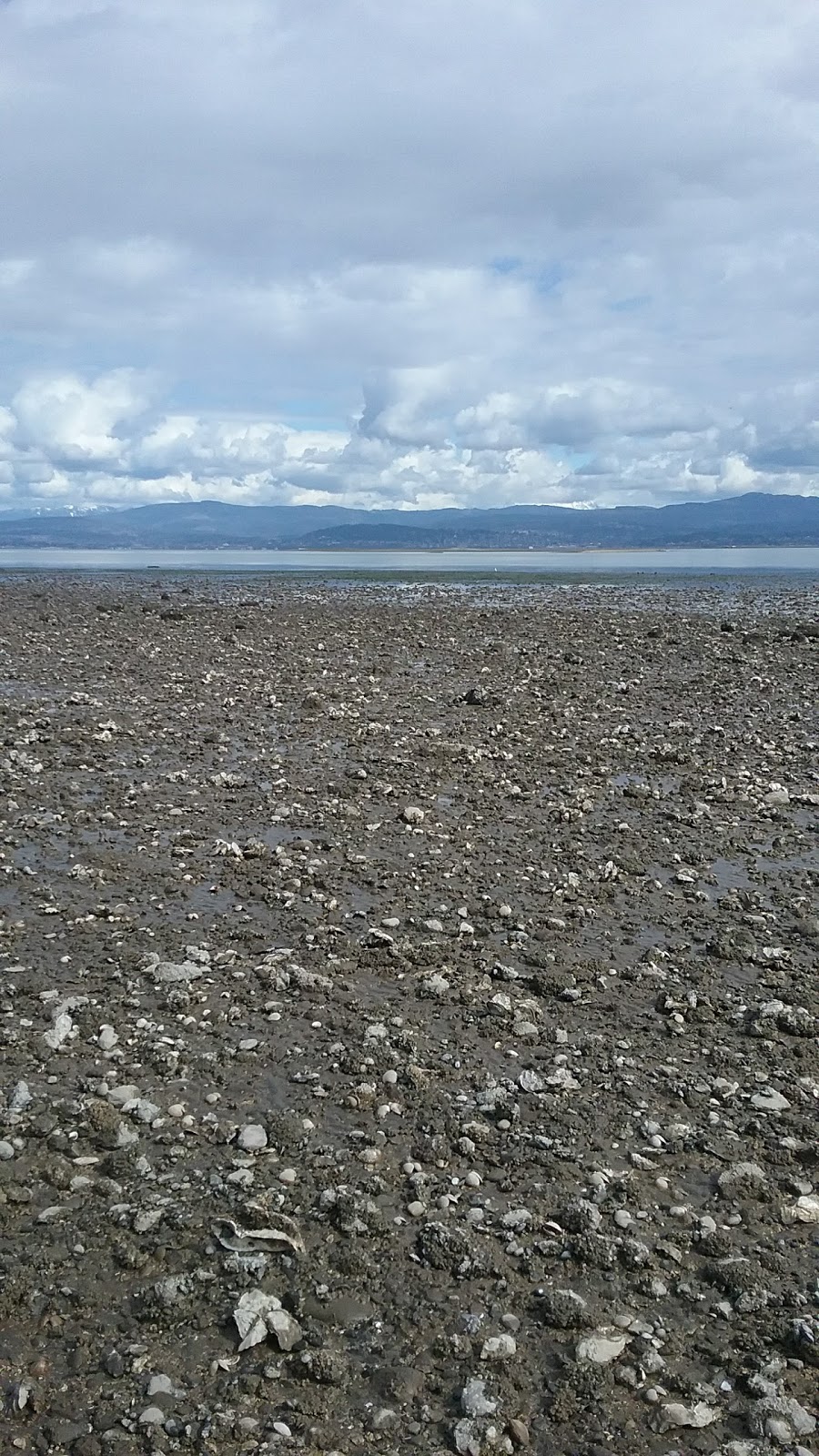 Lummi Marine Park | Bellingham, WA 98226, USA | Phone: (360) 676-2500