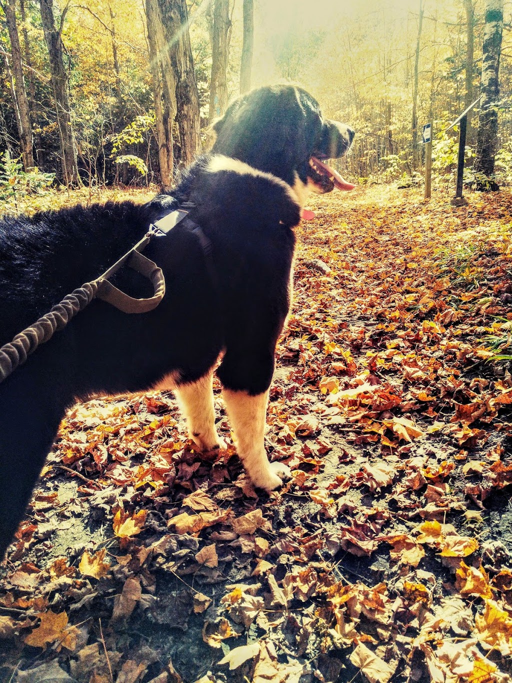 Ruffing It | 345 Concession Rd 10 #349, Port Elgin, ON N0H 2C6, Canada | Phone: (844) 444-7833