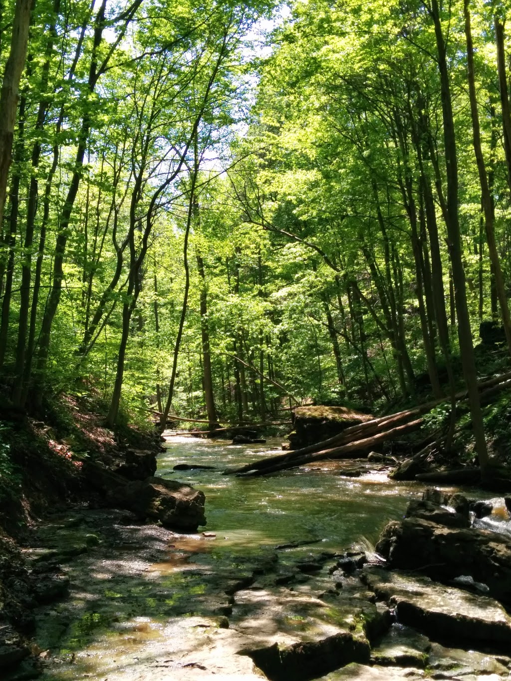 Louth Conservation Area | 3193 Staff Ave, Jordan Station, ON L0R 1S0, Canada | Phone: (905) 788-3135
