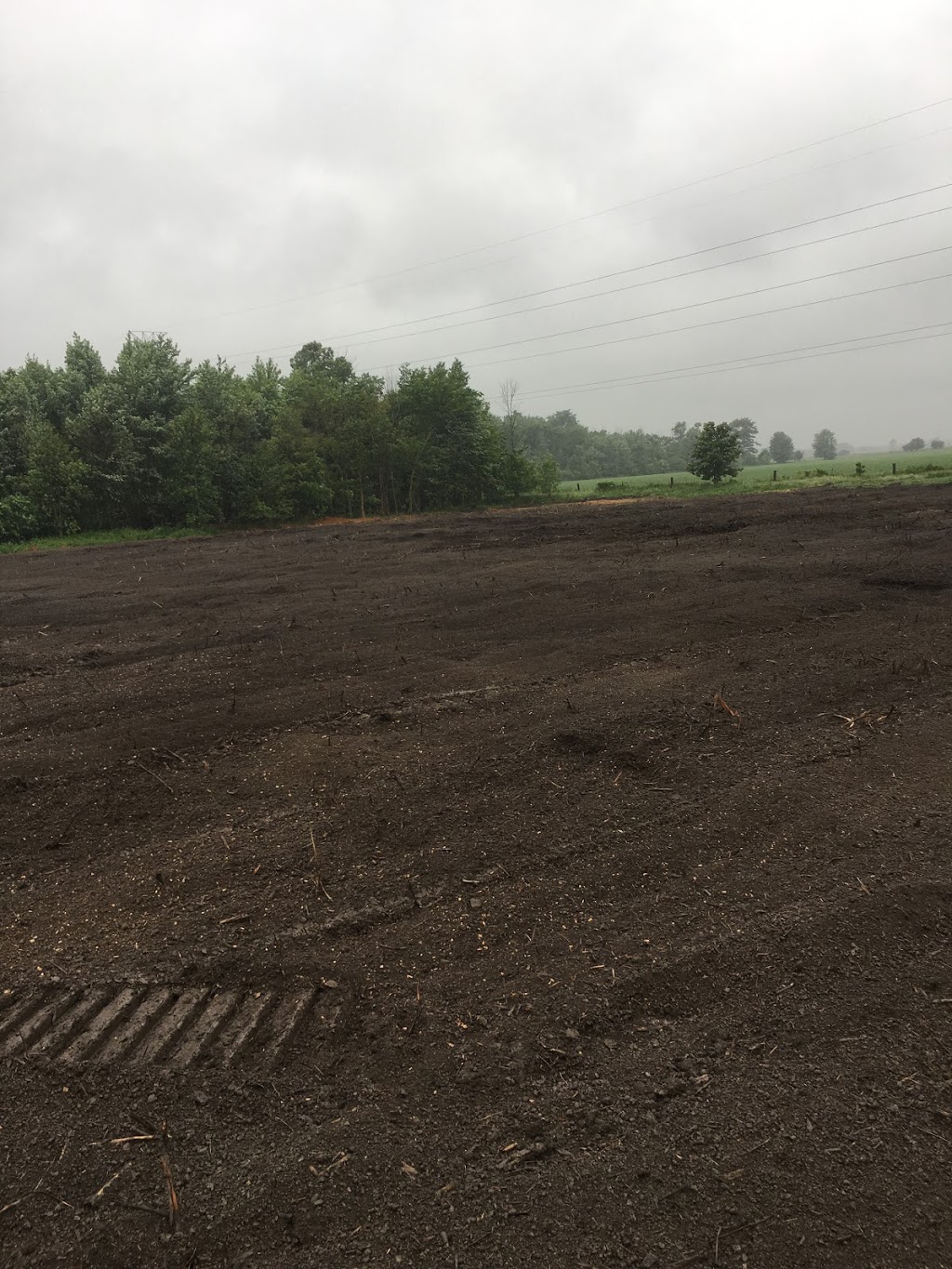 MARVARA | 7835 6 Line, Drayton, ON N0G 1P0, Canada | Phone: (519) 501-6571