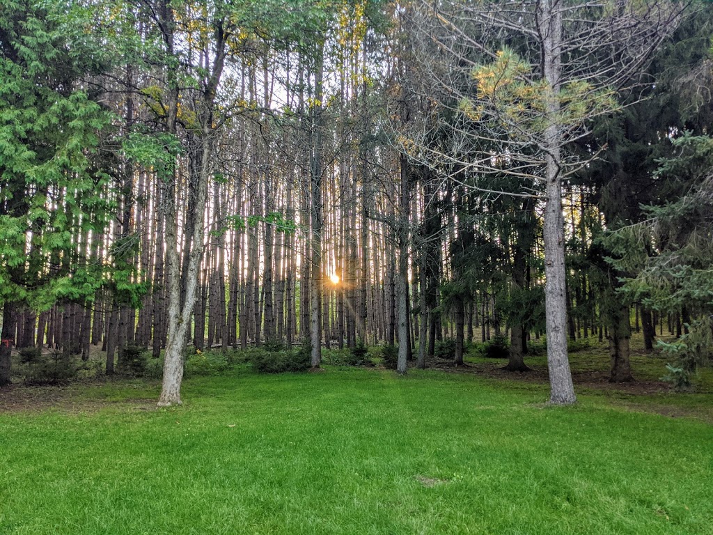 Domaine Stevenson - Manson & Cottage | 1770 Route Principale, La Conception, QC J0T 1M0, Canada | Phone: (514) 758-0808