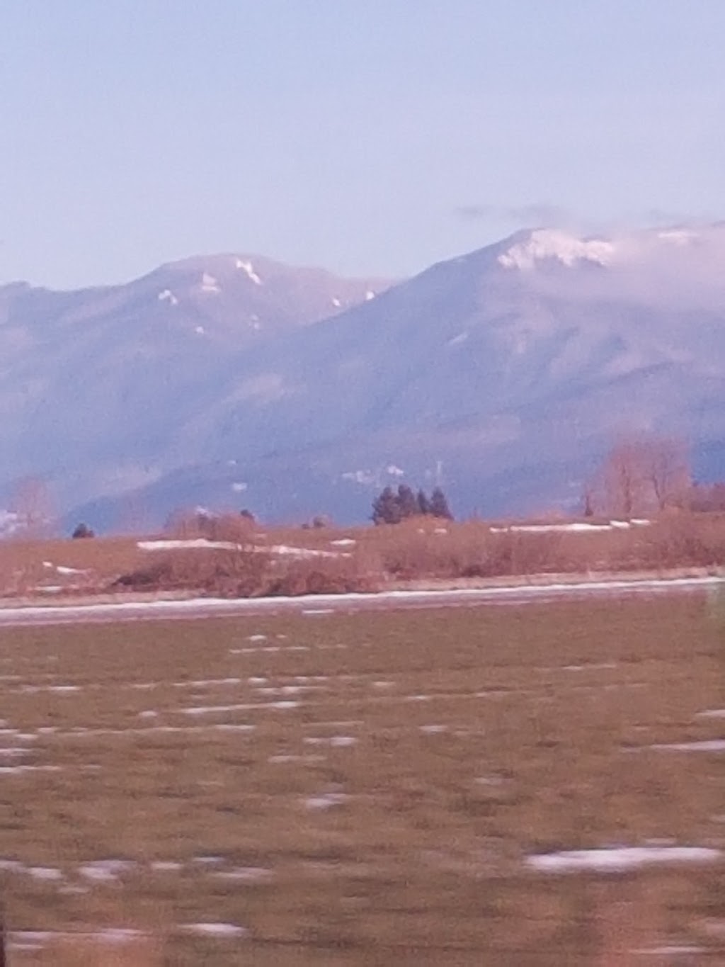 Cedarwal Farms | 5722-5854 Interprovincial Hwy, Abbotsford, BC V3G 2P7, Canada | Phone: (236) 833-8418