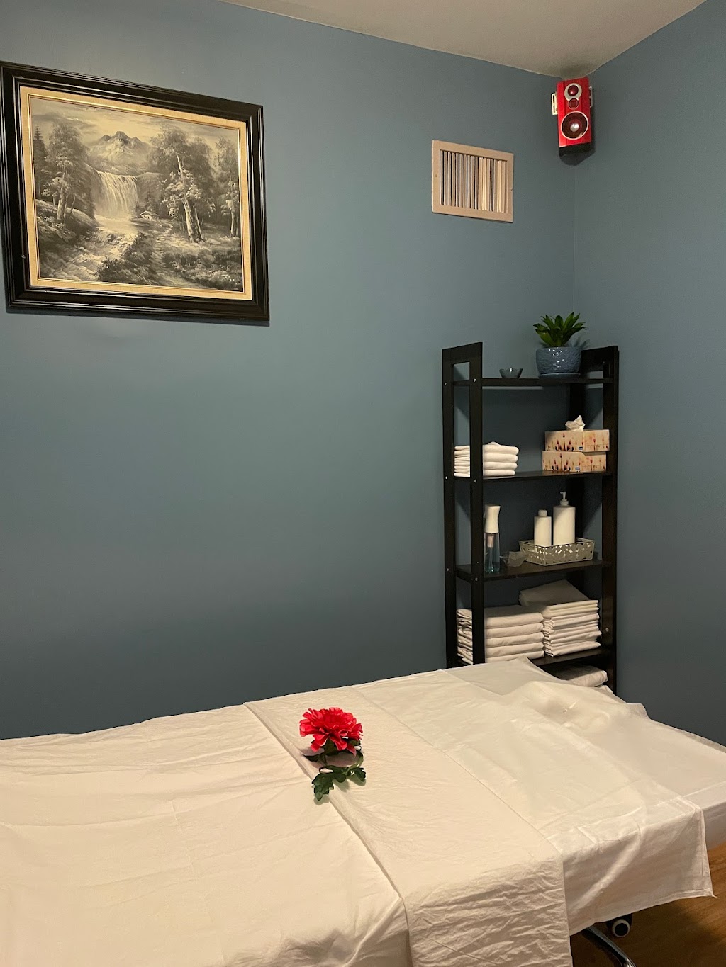 Vivi Health Centre | 298 Lakeshore Rd W, Mississauga, ON L5H 1G6, Canada | Phone: (437) 989-5886