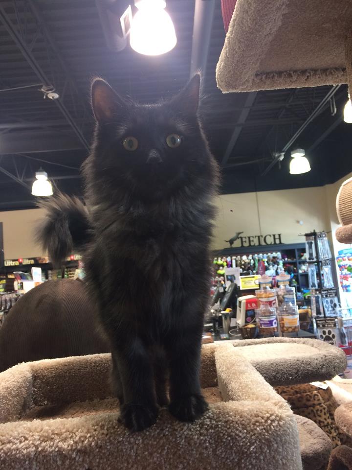 Bosleys by Pet Valu | 2306 BC-6 #210, Vernon, BC V1T 7E3, Canada | Phone: (250) 558-0566