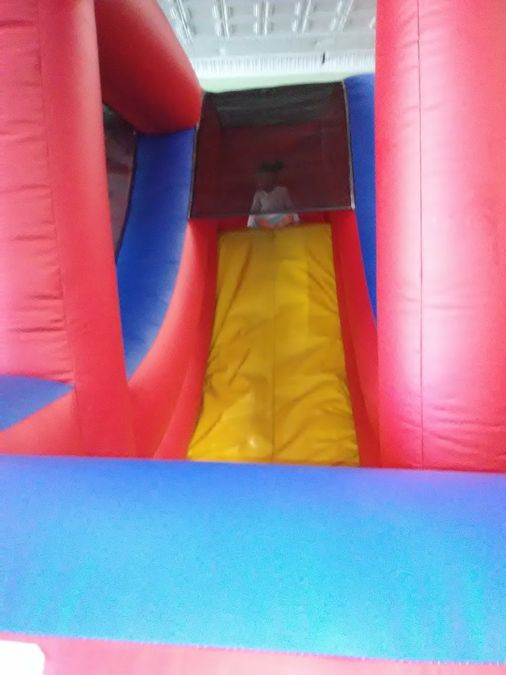 Rolly Pollies | Rolly Pollies of North Buffalo, 1669 Hertel Ave, Buffalo, NY 14216, USA | Phone: (716) 833-3318