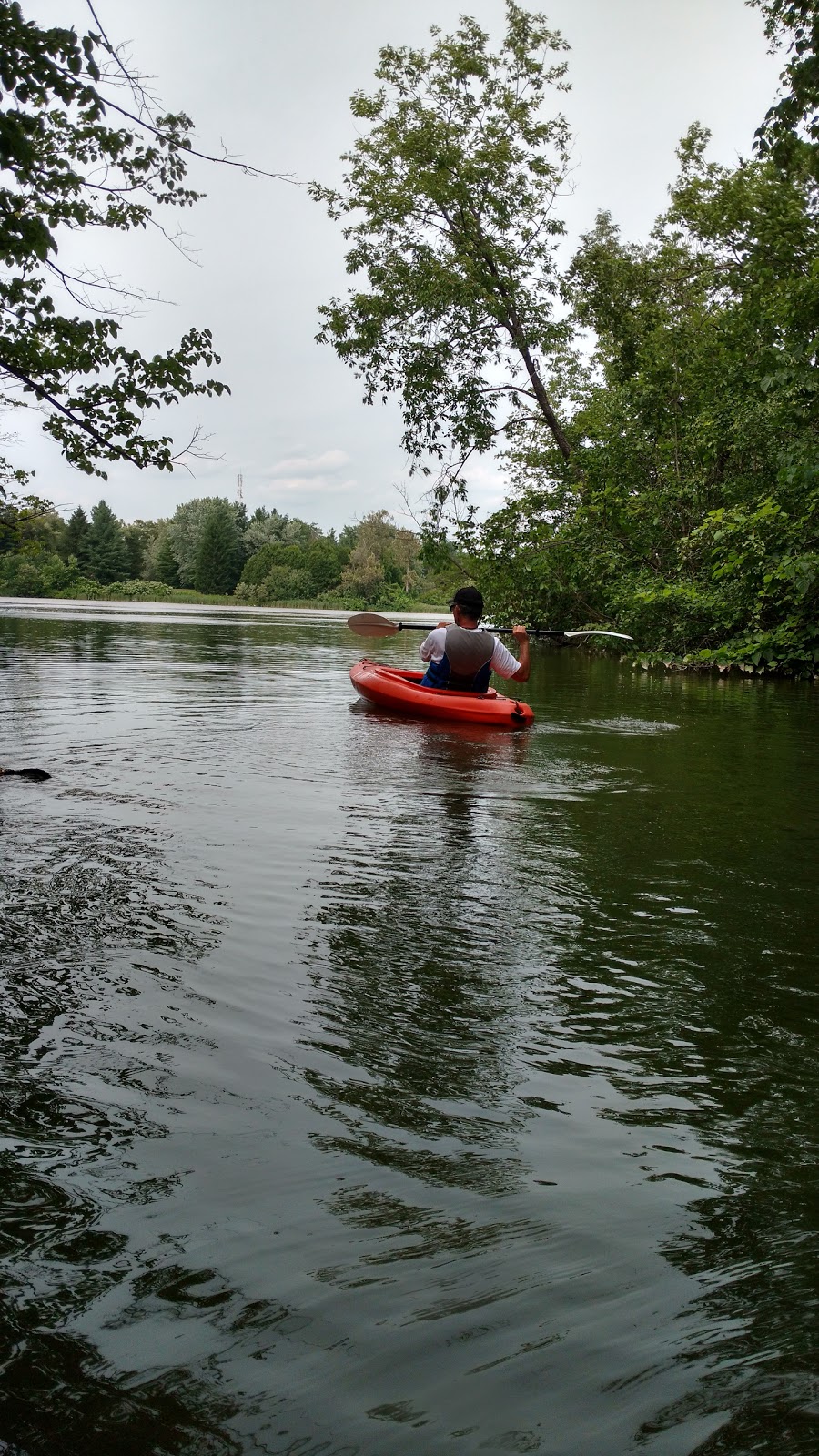 New Lowell Campground & Conservation Park Ltd. | 2894 Hogback Rd, New Lowell, ON L0M 1N0, Canada | Phone: (705) 424-2942