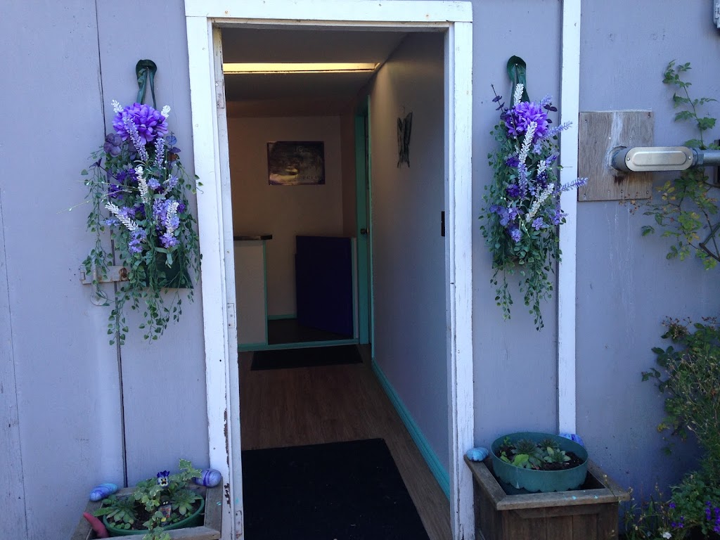 Coiffured Canines | 1005 Linda Ln, Victoria, BC V9B 2S7, Canada | Phone: (250) 474-4211