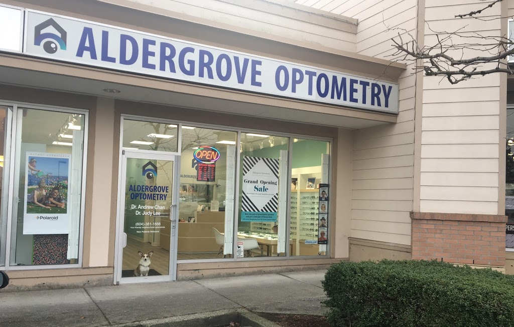 Aldergrove Optometry | 26310 Fraser Hwy #500, Aldergrove, BC V4W 2Z7, Canada | Phone: (604) 381-1888