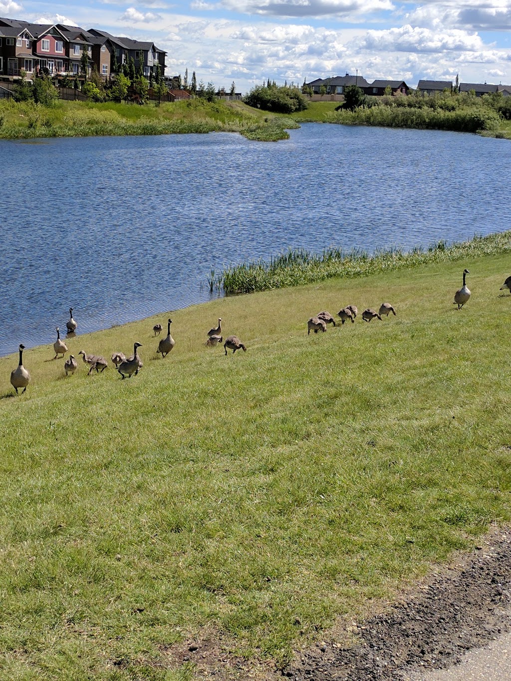 Cougarstone Park | Cougarstone Way SW, Calgary, AB T3H 4Z9, Canada