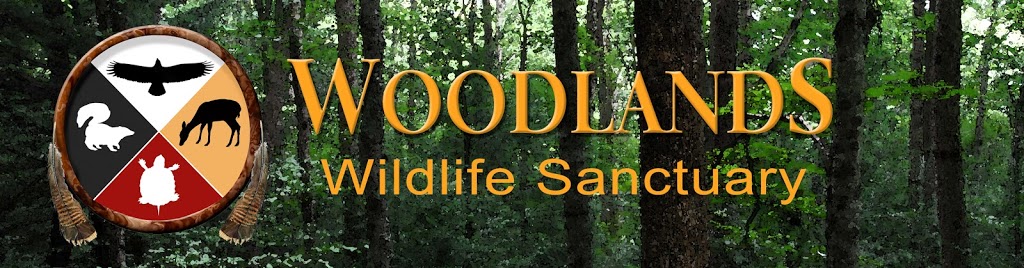 Woodlands Wildlife Sanctuary | 2146 Duck Lake Rd, Minden, ON K0M 2K0, Canada | Phone: (705) 286-1133