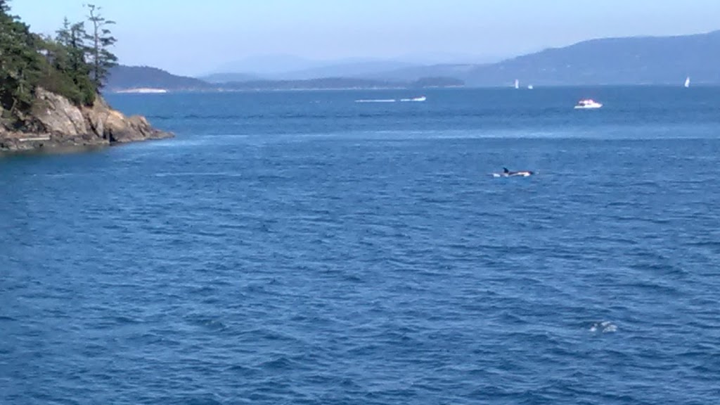 Cone Islands State Park | Anacortes, WA 98221, USA