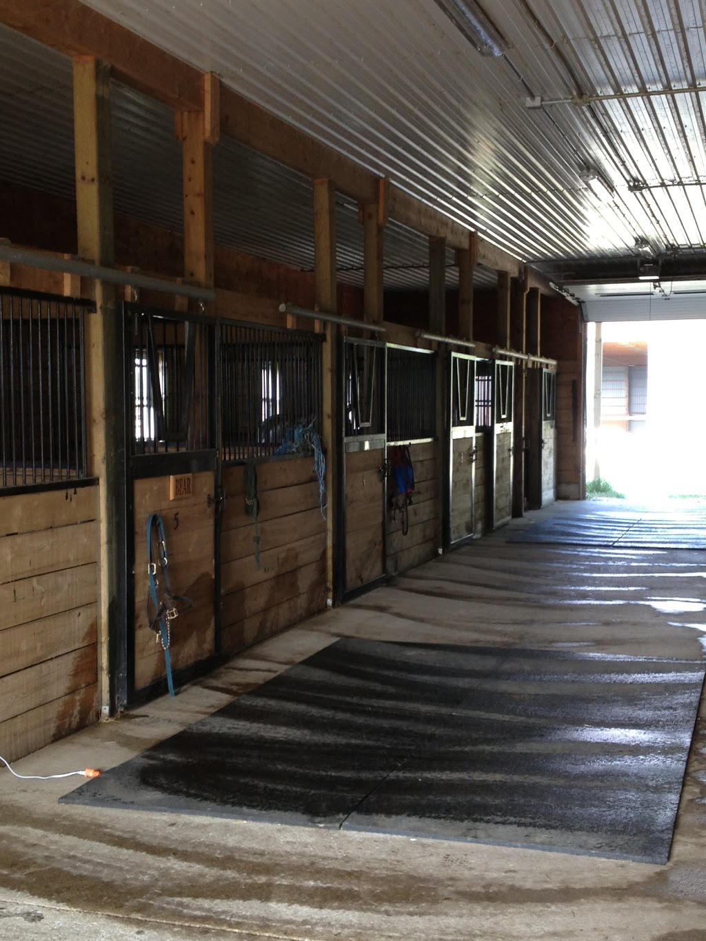 Double R Stables | 14848 Fourteen Mile Rd, London, ON N0M 1P0, Canada | Phone: (519) 280-5433