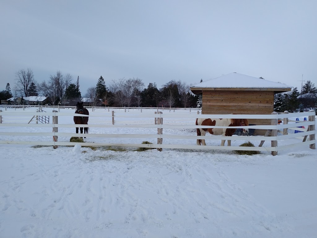 Highland Fence & Supply Inc | 804075 Road 80, Embro, ON N0J 1J0, Canada | Phone: (519) 475-4868