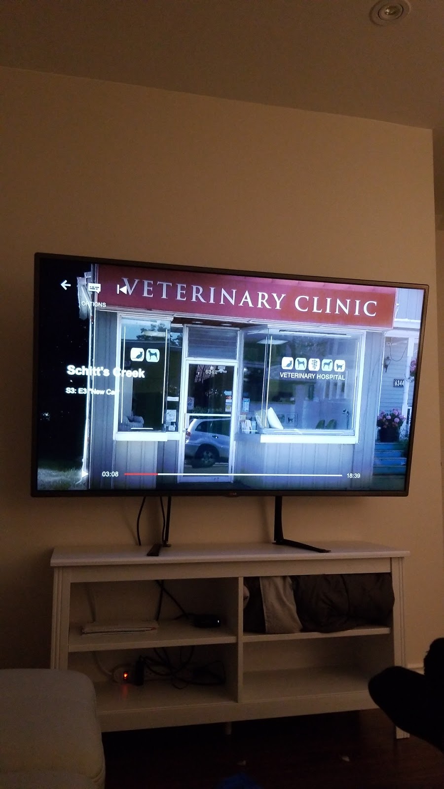 Thicketwood Veterinary Hospital | 6342 Main, Whitchurch-Stouffville, ON L4A 1G9, Canada | Phone: (905) 640-8084
