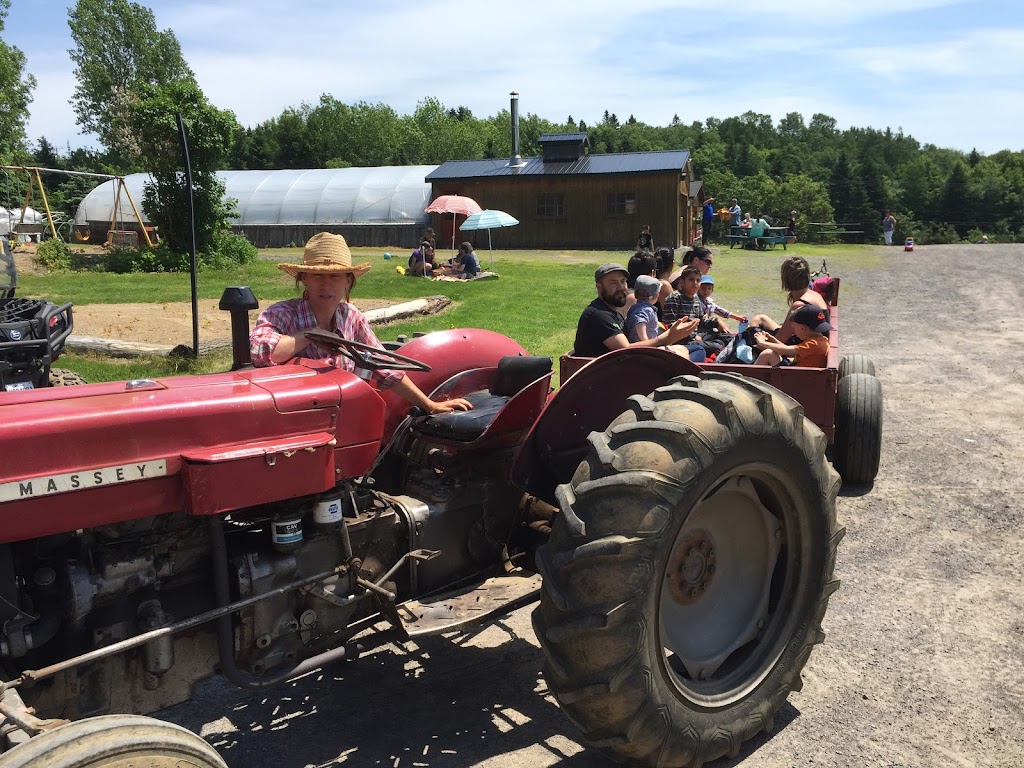 La Ferme Du Bon Temps | 884 QC-138, Saint-Joachim, QC G0A 3X0, Canada | Phone: (418) 827-3672
