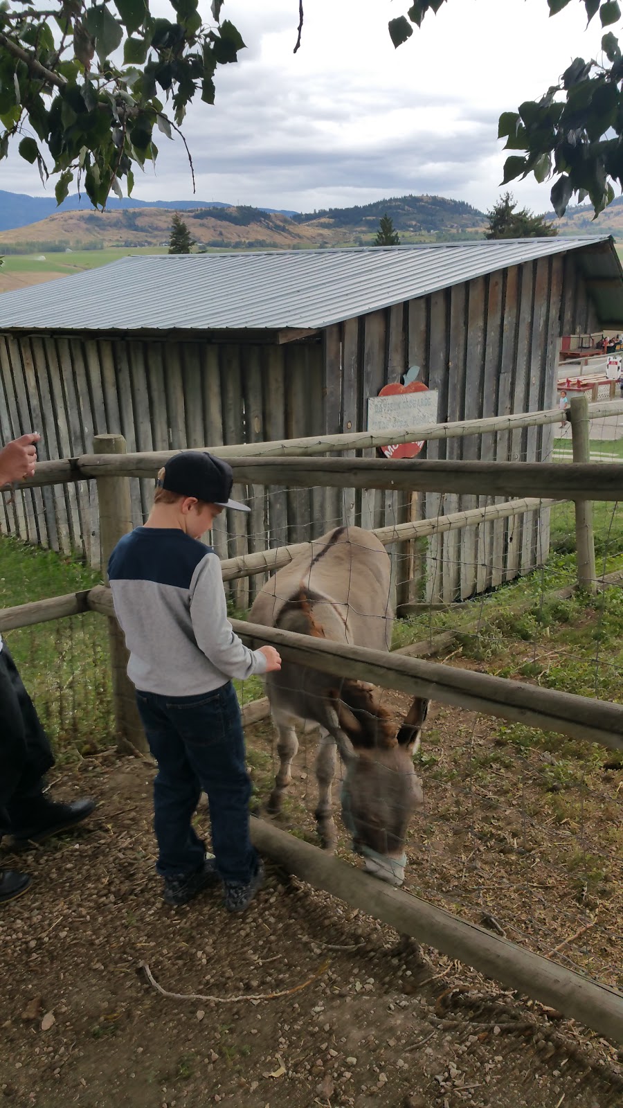 Bella Vista Farm Market | 5011 Bella Vista Rd, Vernon, BC V1H 1A1, Canada | Phone: (250) 545-0105