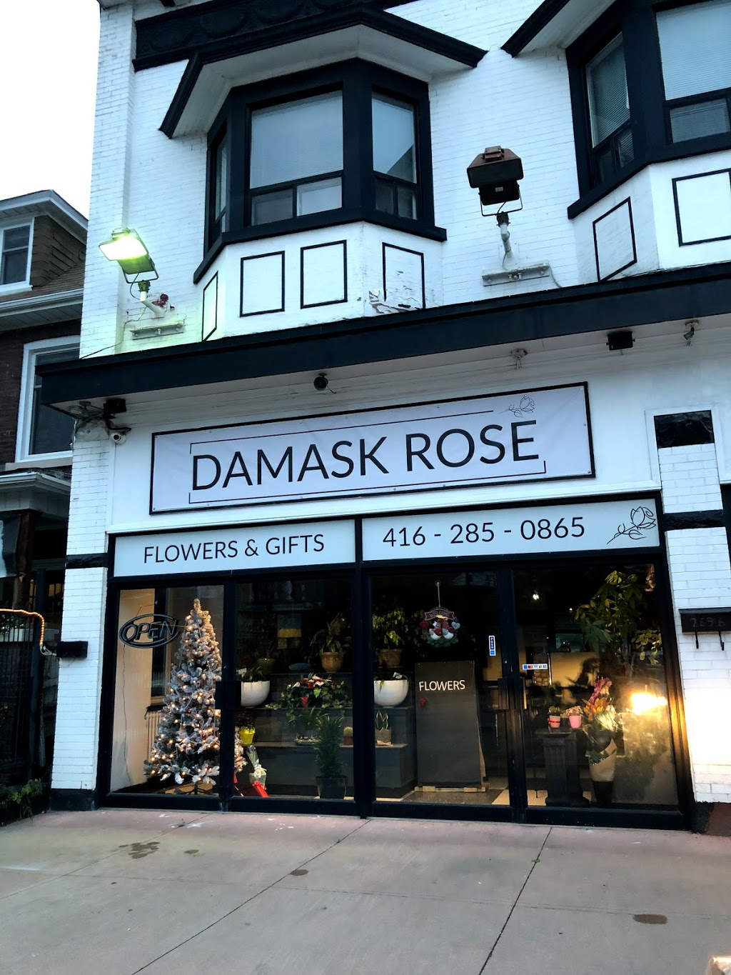 Damask Rose | 2696 Dundas St W, Toronto, ON M6P 1Y2, Canada | Phone: (416) 285-0865