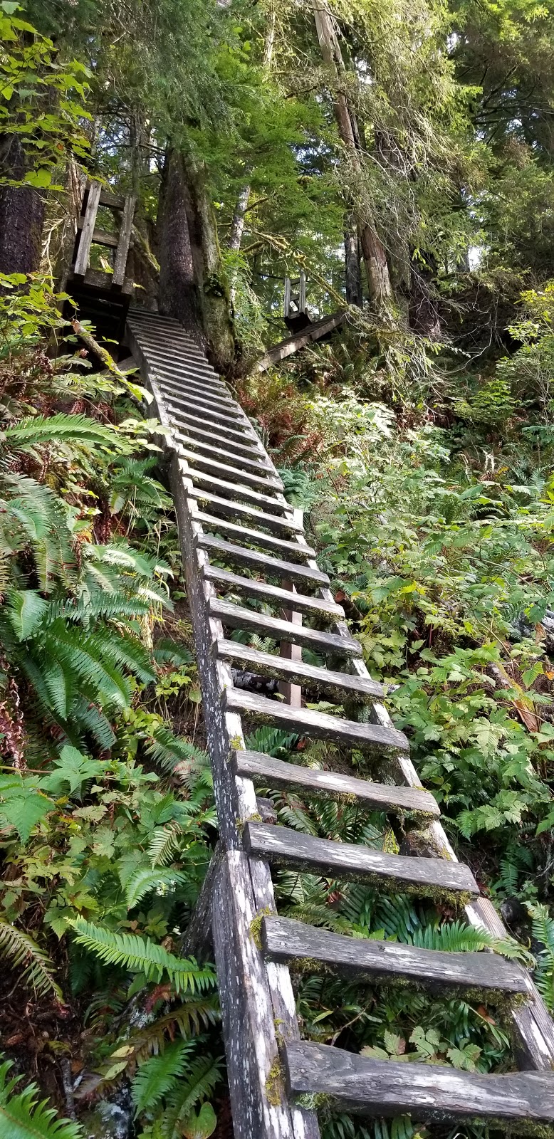 West Coast Trail - Pachena Bay Trailhead | Alberni-Clayoquot A, BC V0R 1B0, Canada | Phone: (250) 728-3234
