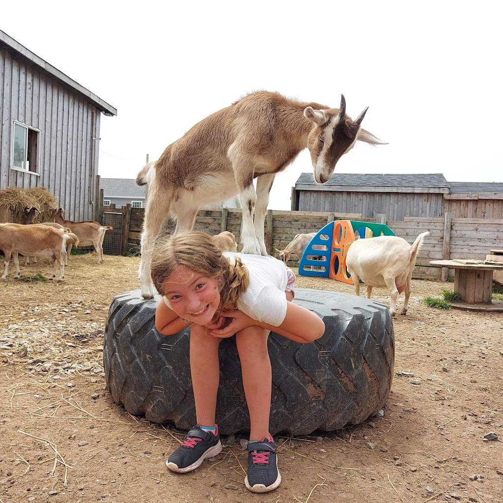 Ataraxy Farm | 33 Manetail Ln, Lawrencetown, NS B2Z 1S6, Canada | Phone: (902) 449-8109