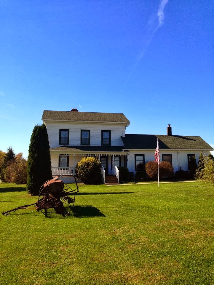 Mark C Wolanin DDS | 33065 Bordman Rd, Riley, MI 48041, USA | Phone: (810) 392-3186