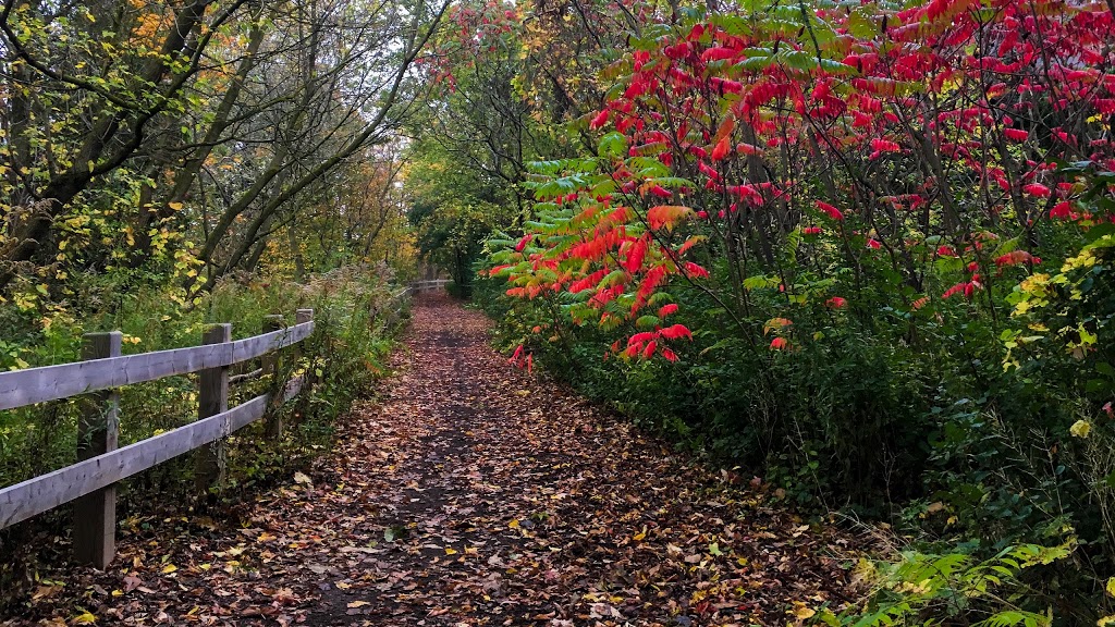 Twelve Mile Trail | 5575 Twelve Mile Trail, Burlington, ON L0P, Canada | Phone: (416) 589-7754